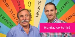 Kura, co to je?
